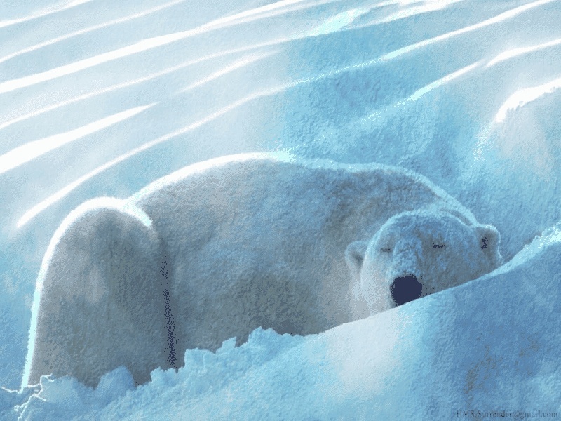 <strong>成都华西试管费用（试管木塞密封酒精）</strong>